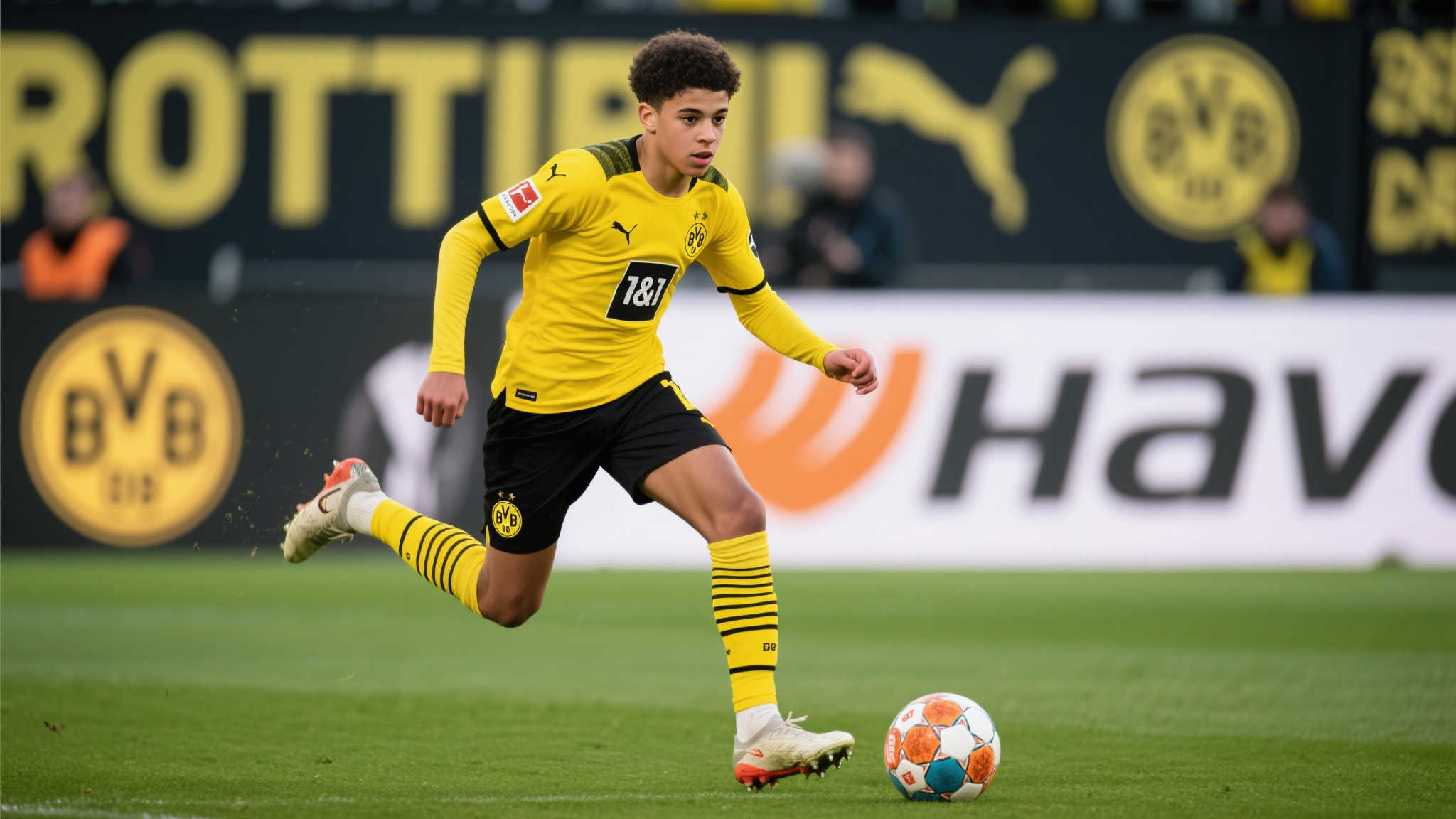 Kaiyun开云平台中心